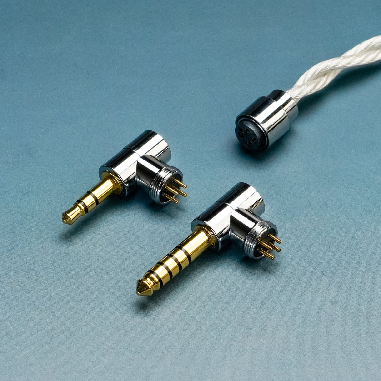 EPZ-P40-IEMs