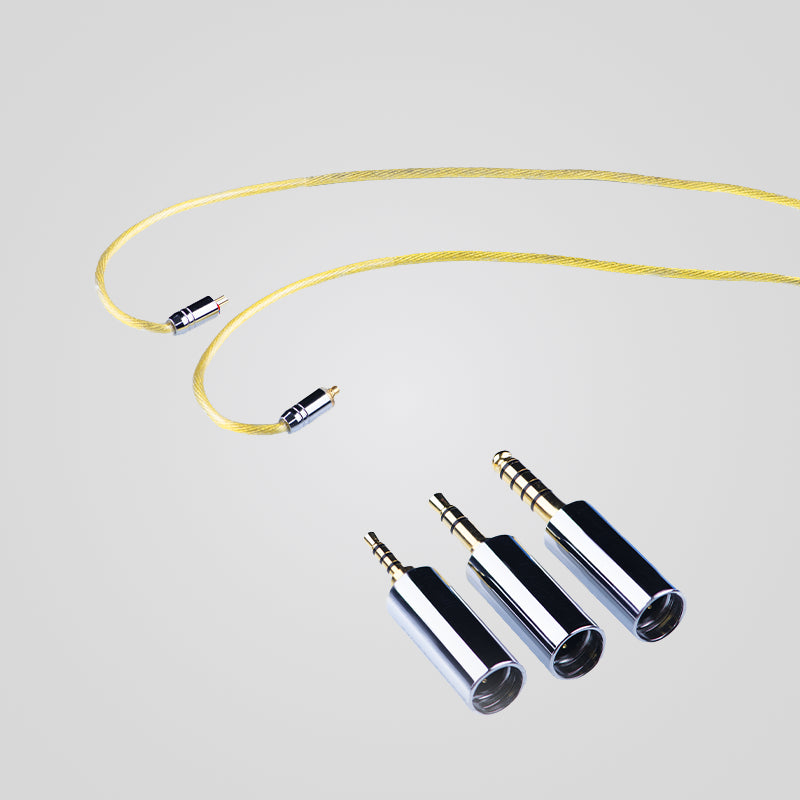 EPZ DP12 Upgrade Cable