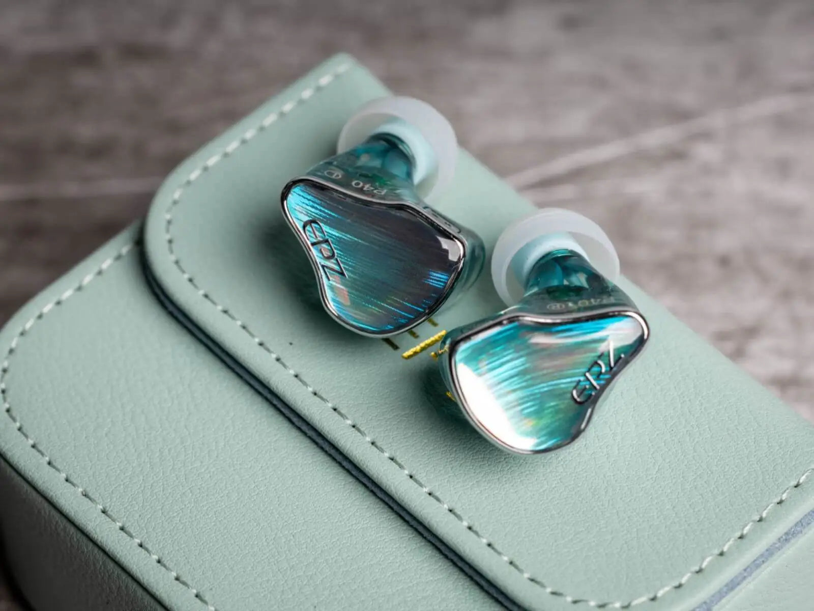 EPZ-P40-IEMs