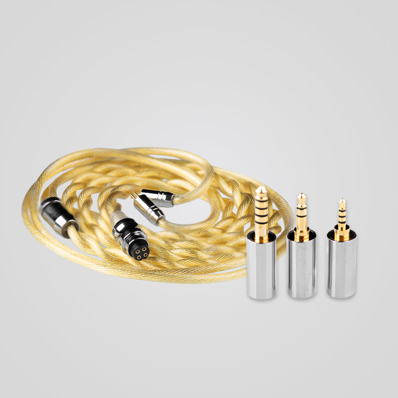 EPZ DP12 Upgrade Cable