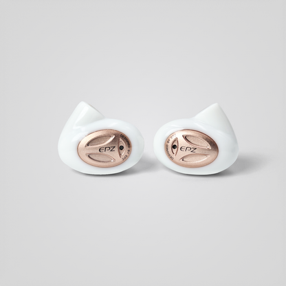 EPZ Q5 Pro IEMs