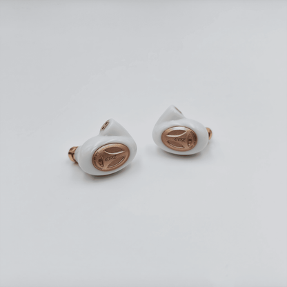 EPZ Q5 Pro IEMs
